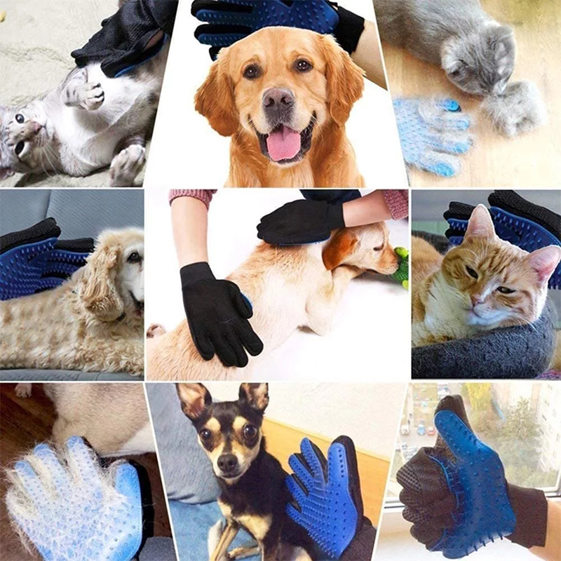 Gants de toilettage pour anima - Rubber Glove Cleaning avis et prix